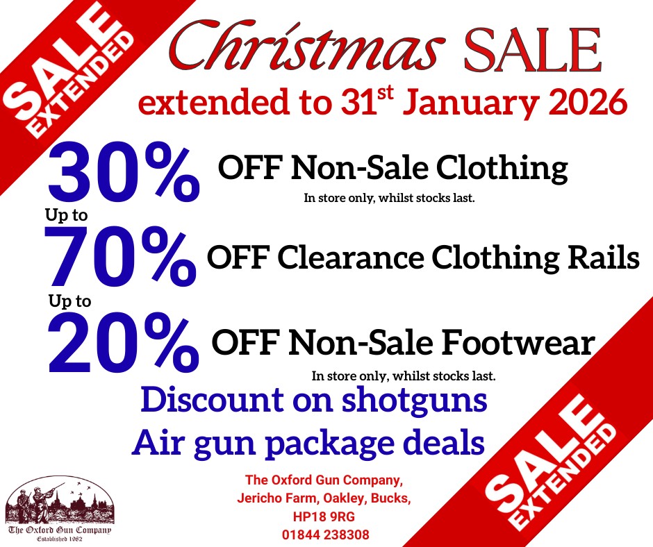 Christmas Sale Poster